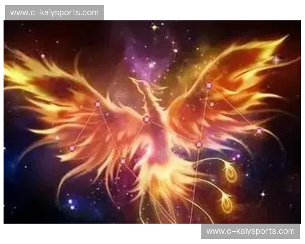 凤凰涅槃，王者降临：2013热火王朝的史诗征途